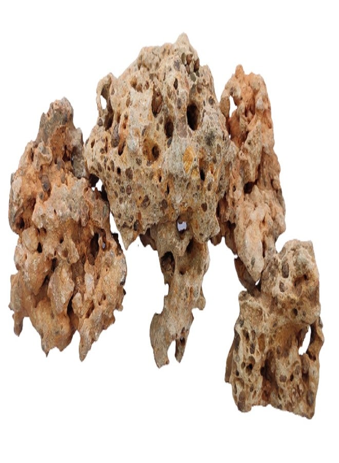 RUKDA® Authentic Natural Hole Congo Rock: Versatile Stone for Aquariums Decor, Gardens Decoration, Bonsai Rock Base, and Home Decoration - (Congo Rock 1 Kg) - Image 1